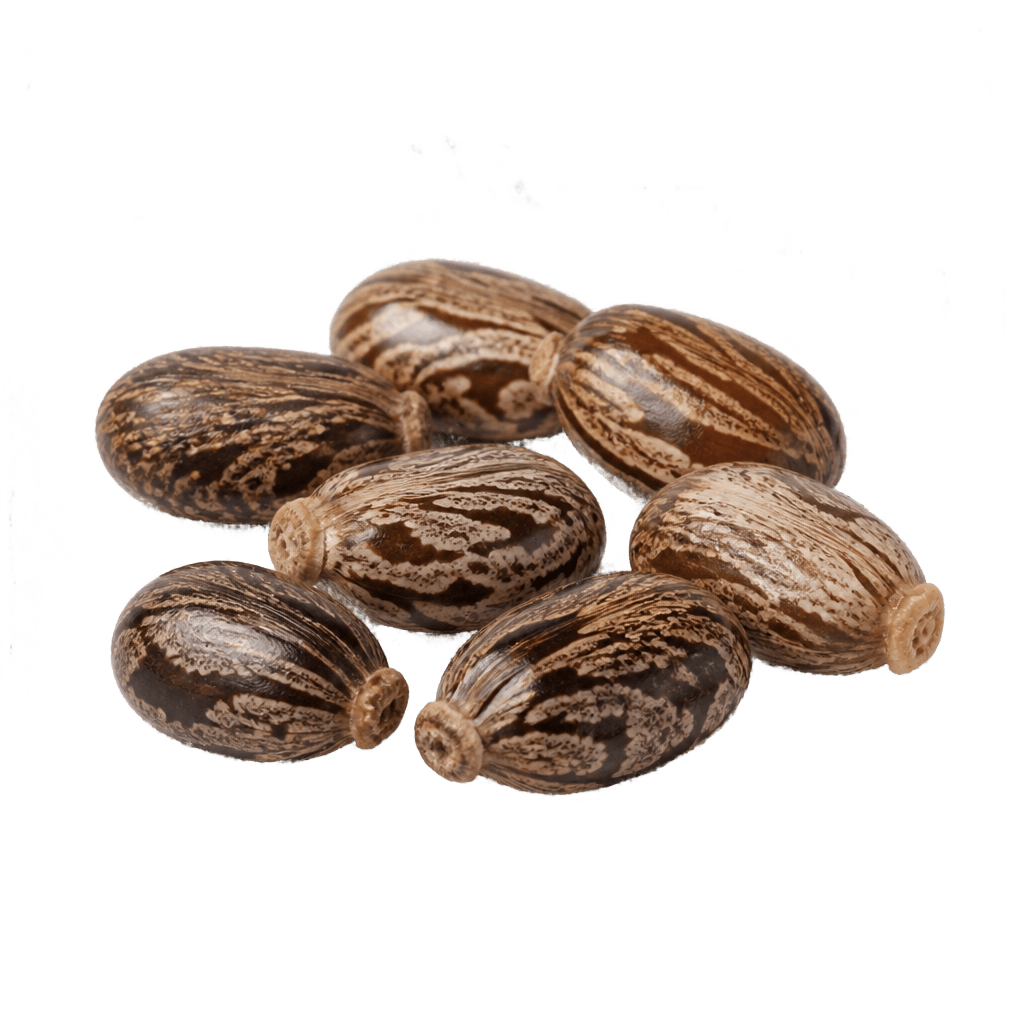 Castor Oil