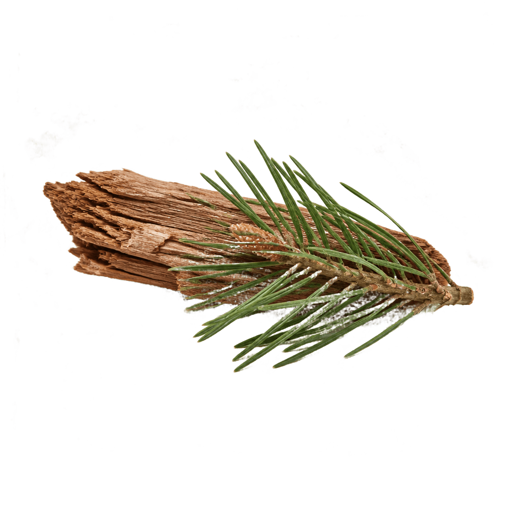 Cedarwood Oil
