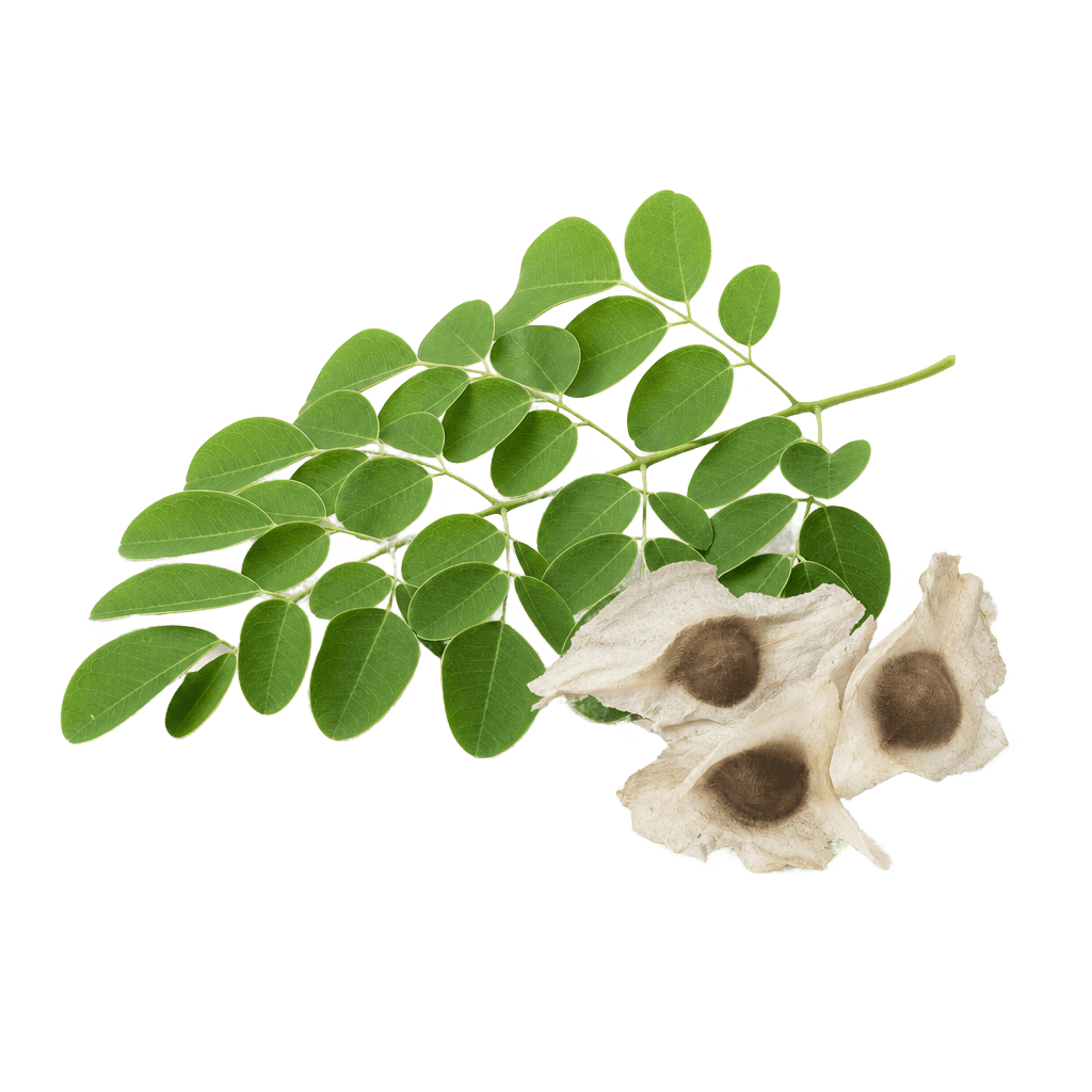Moringa Oil