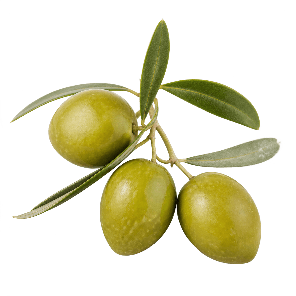 Olive Oil