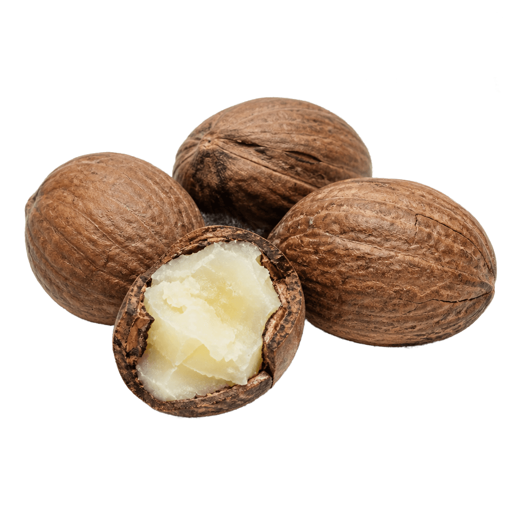 Shea Oil